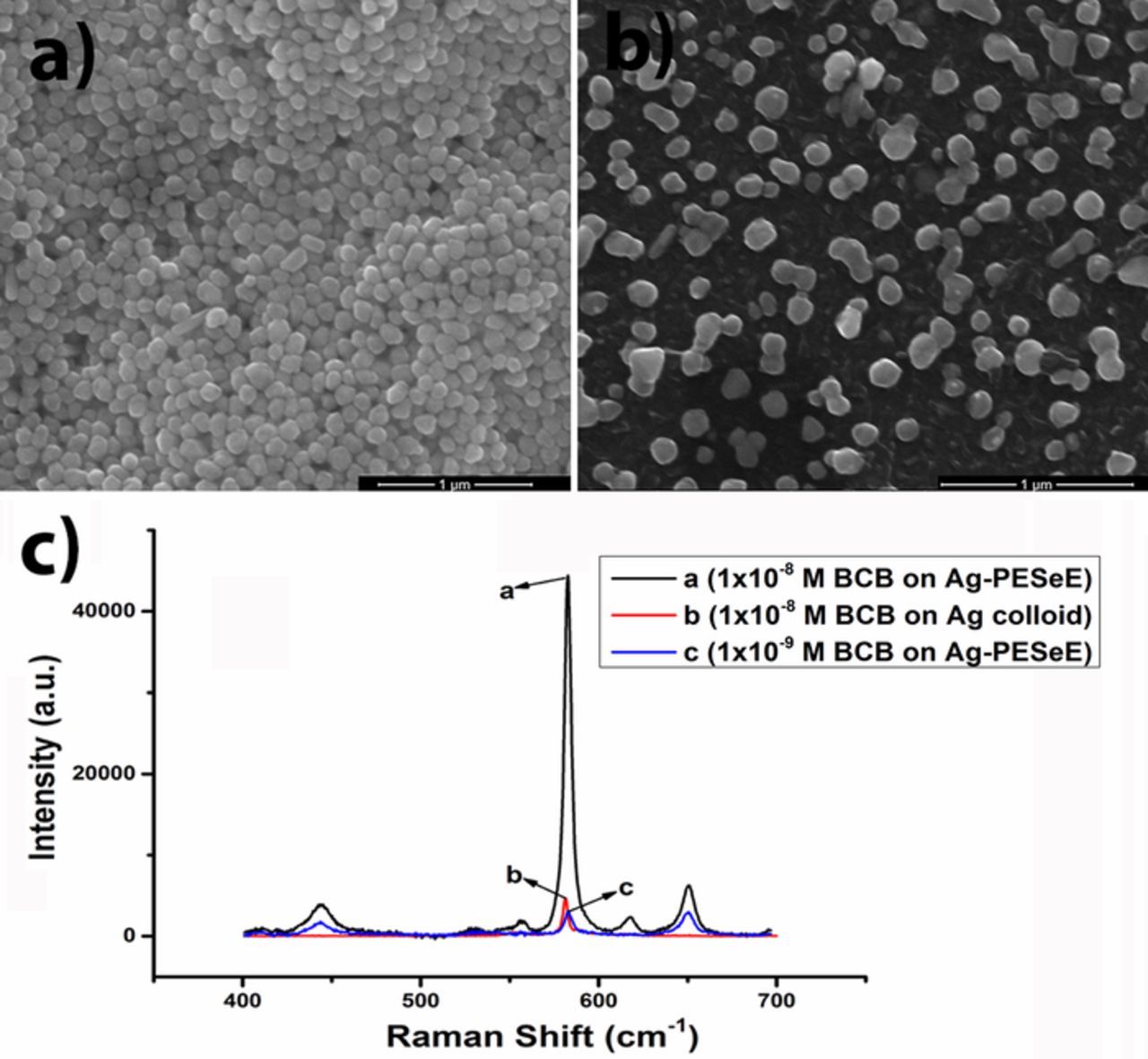 Silver Nanoparticles Added Polymer Film Prepared by Electrochemical ...