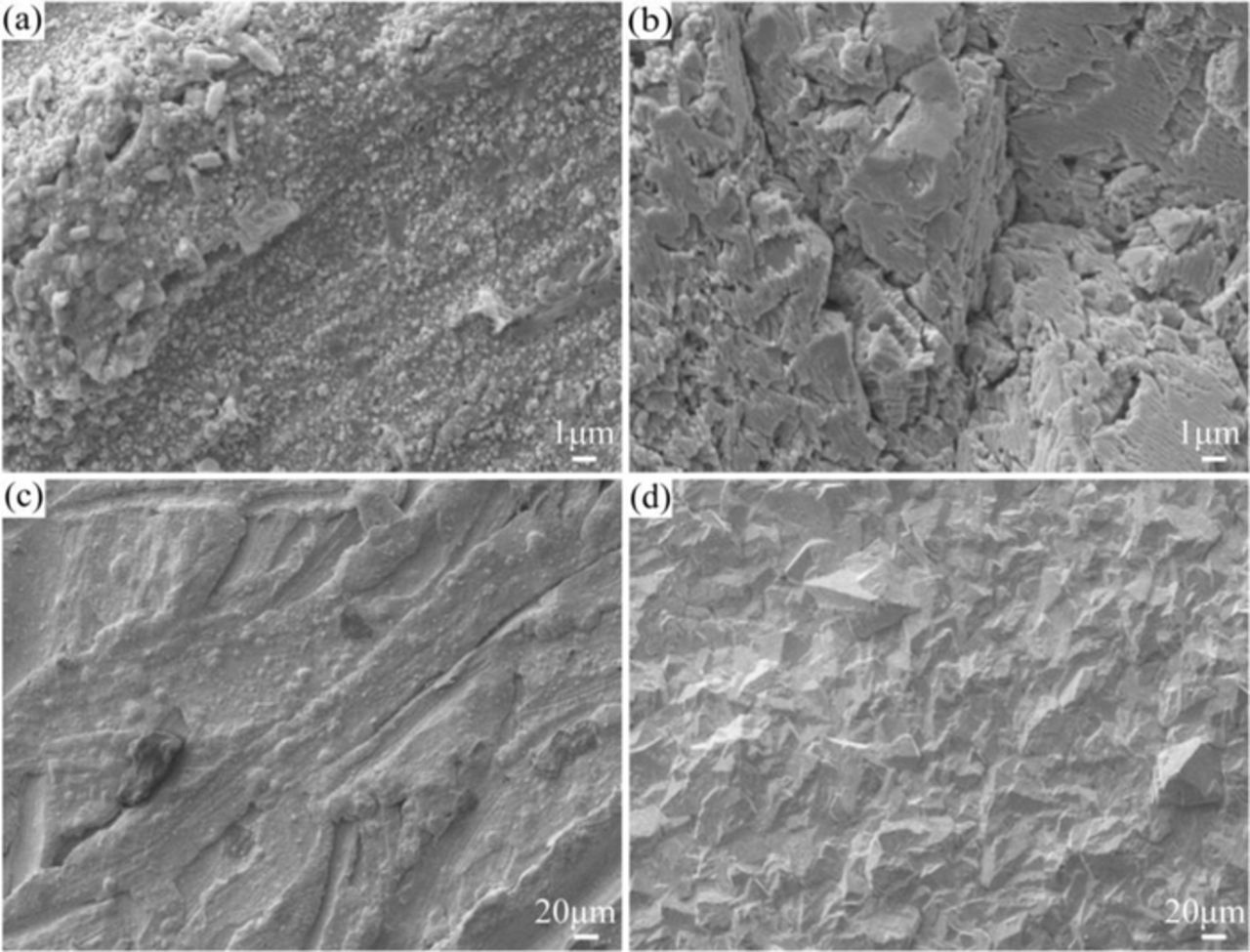 Anodizing Pbo2 Influence of F-Doped β-PbO2 Conductive Ceramic Layer on the Anodic ...