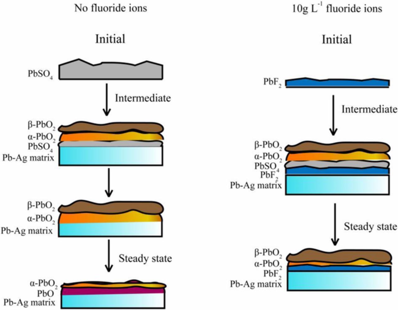 Anodizing Pbo2 Influence of F-Doped β-PbO2 Conductive Ceramic Layer on the Anodic ...