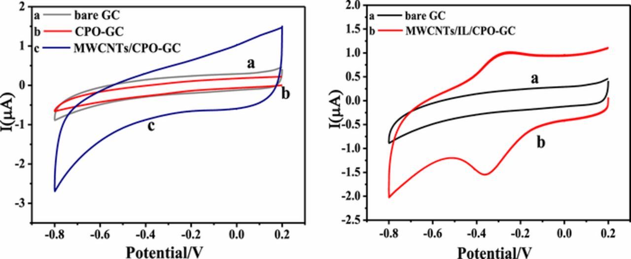 Enzymatic Biosensor for Hydrogen Peroxide Based on the Direct Electron ...