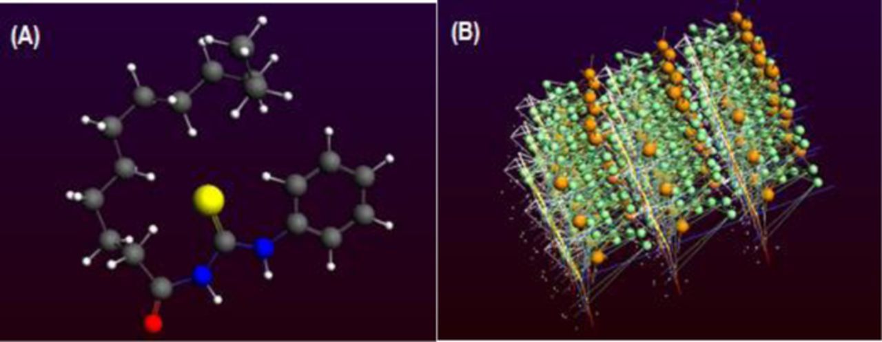Figure 6. Refer to the following caption and surrounding text.