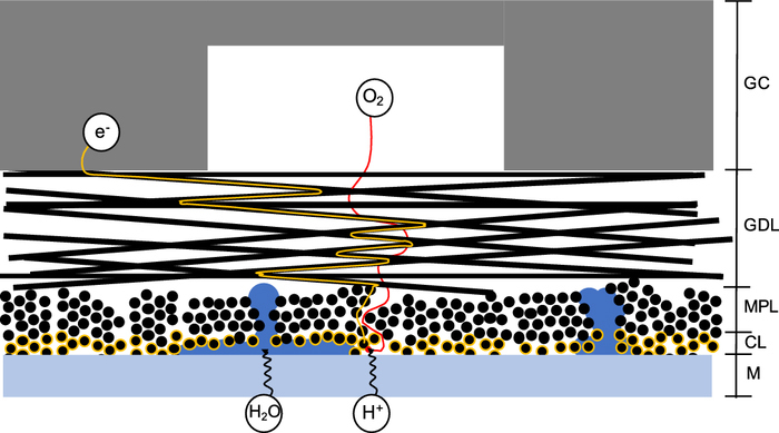 Enhancing the Performance of Fuel Cell Gas Diffusion Layers Using ...