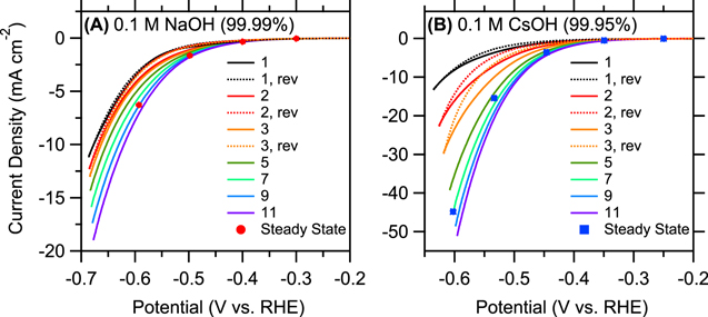 Impact of Alkali Metal Cations and Iron Impurities on the Evolution of ...