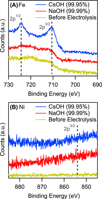 Impact of Alkali Metal Cations and Iron Impurities on the Evolution of ...
