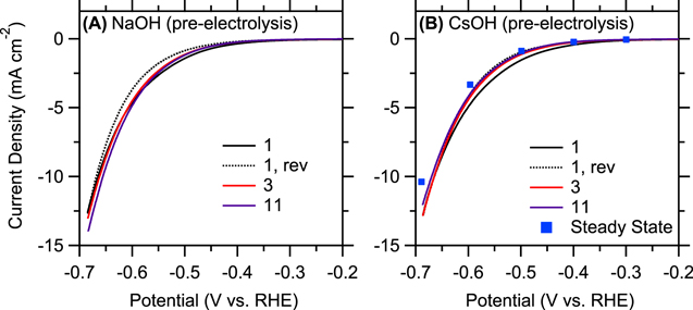 Impact of Alkali Metal Cations and Iron Impurities on the Evolution of ...