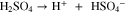 Equation (VIII)
