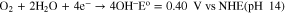 Equation (4)