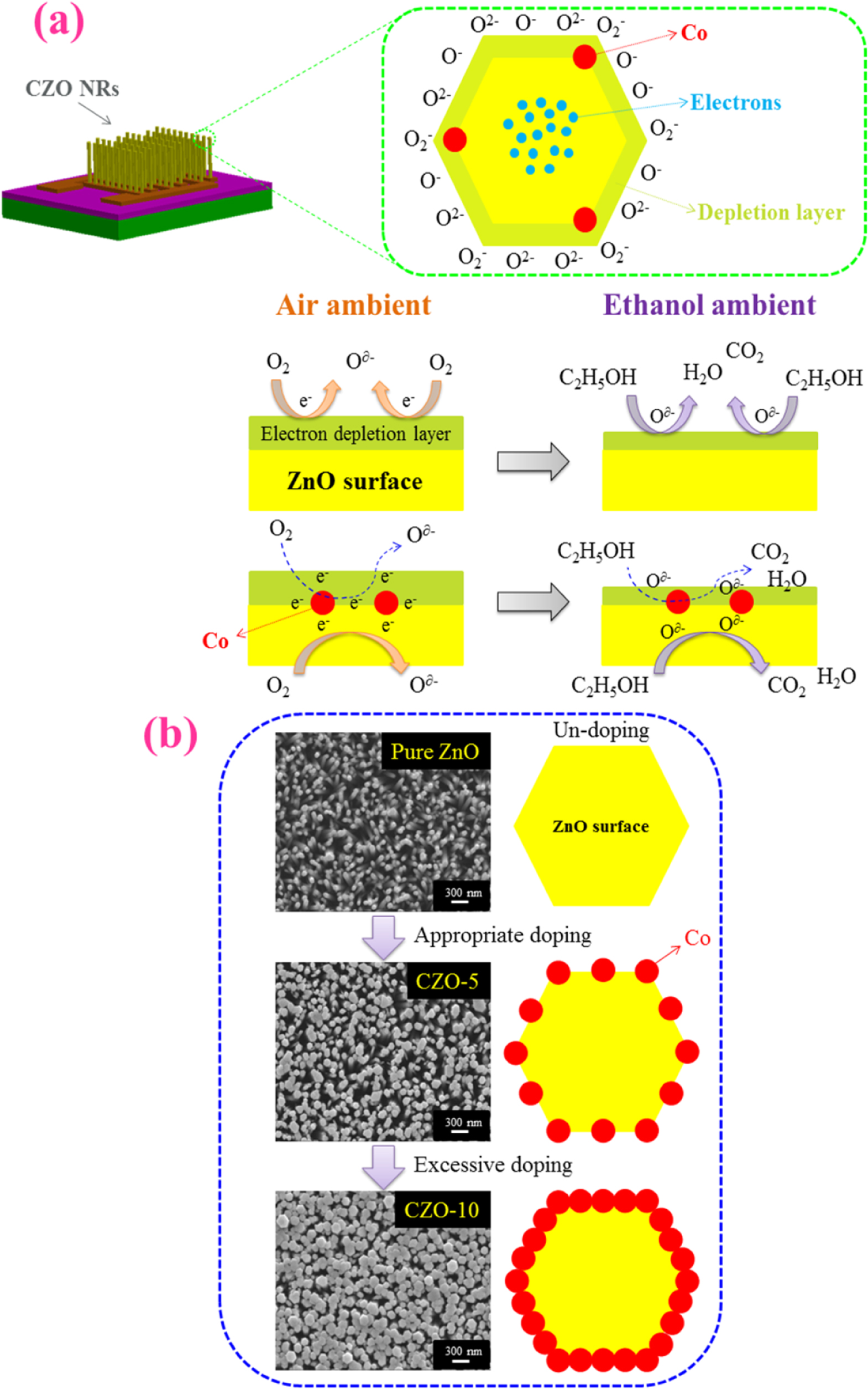 Characteristics of Gas Sensors Based on Co-Doped ZnO Nanorod Arrays ...