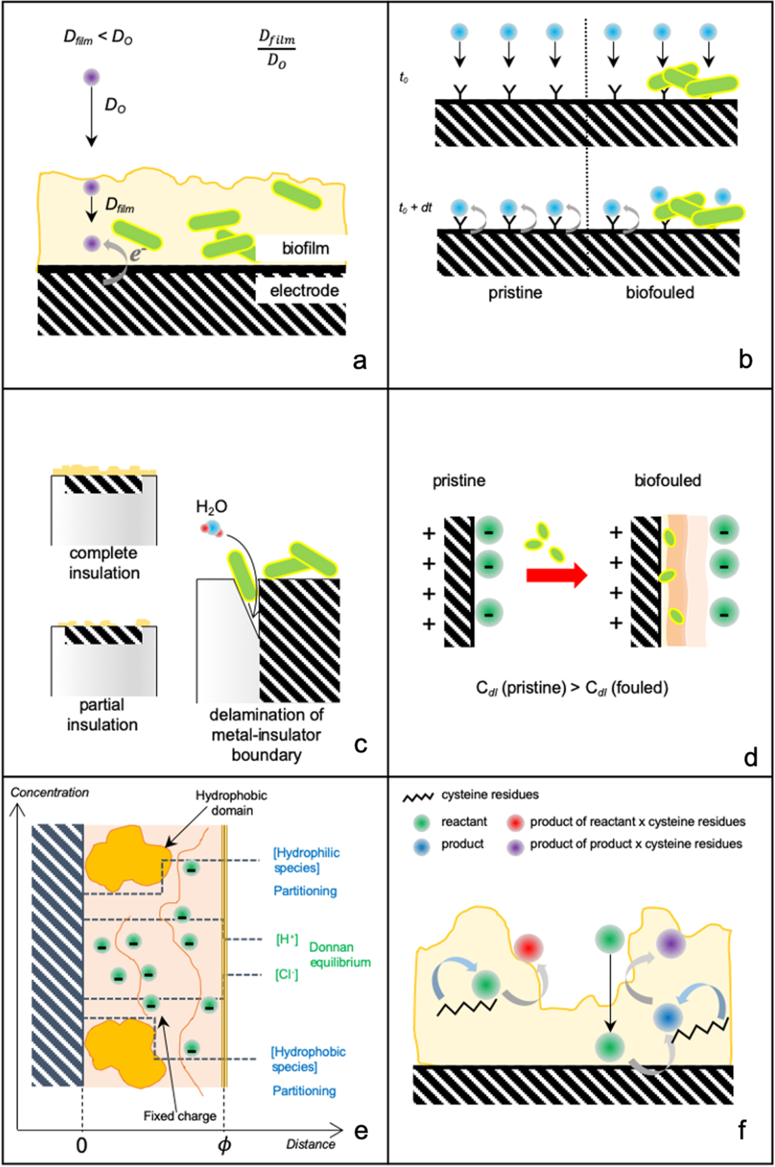 Biofouling Spectroscopy Review—Electrochemical Sensor Biofouling in Environmental Sensor ...