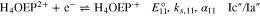 Equation (11)