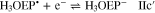 Equation (19)