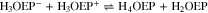 Equation (20)
