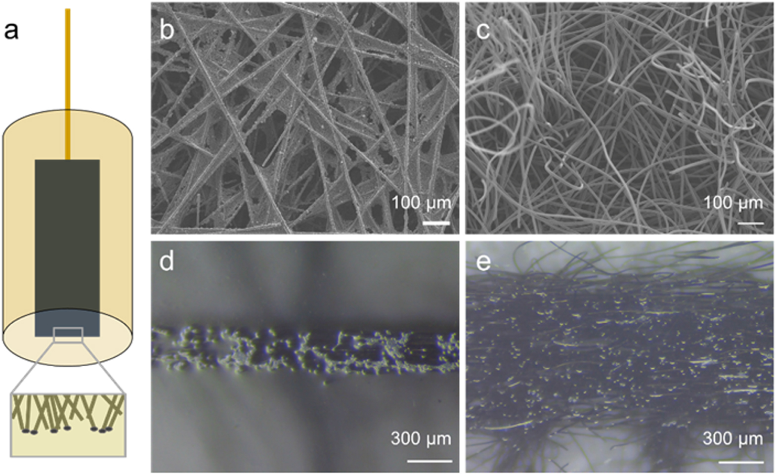 Quantifying Electron Transfer Kinetics on Porous Carbon Electrodes for ...