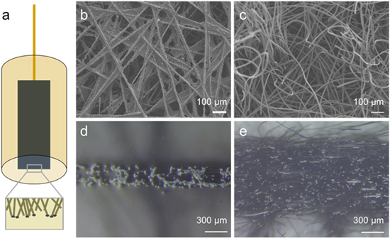 Quantifying Electron Transfer Kinetics on Porous Carbon Electrodes for ...