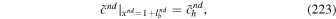 Equation (223)