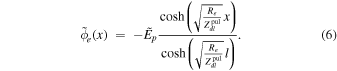 Equation (6)