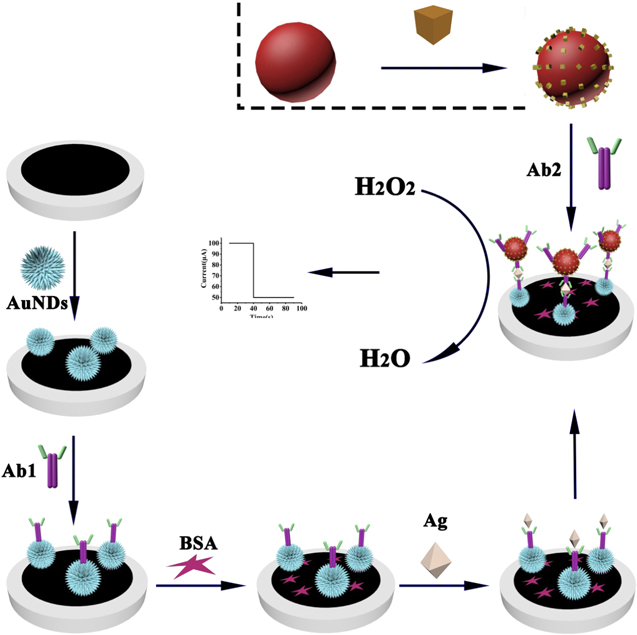 A Sandwich-Type Electrochemical Immunosensor based on Pd Nanocubes ...