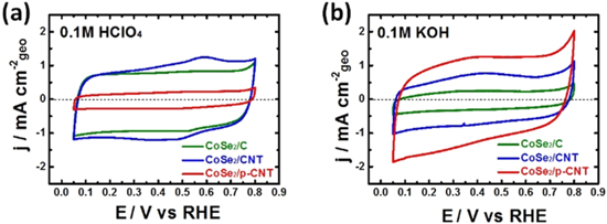 The Oxygen Reduction and Hydrogen Evolution Reactions on Carbon ...