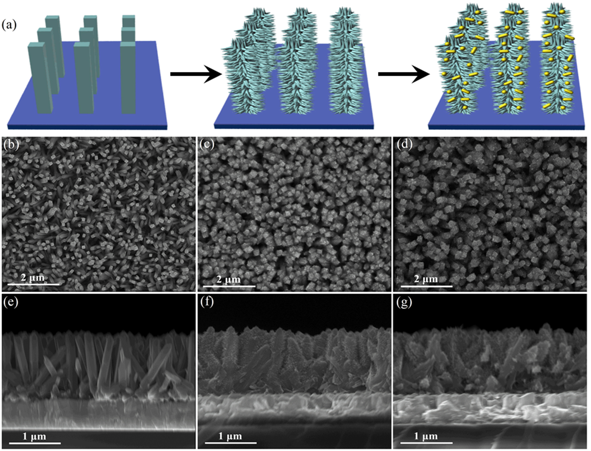Branched TiO2 Nanorod Arrays Decorated with Au Nanostructure for ...