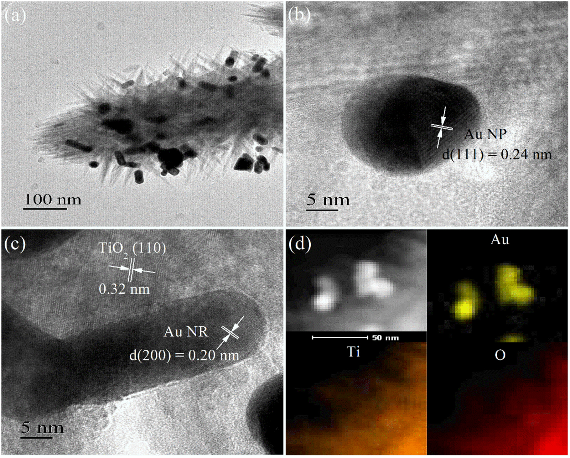 Branched TiO2 Nanorod Arrays Decorated with Au Nanostructure for ...