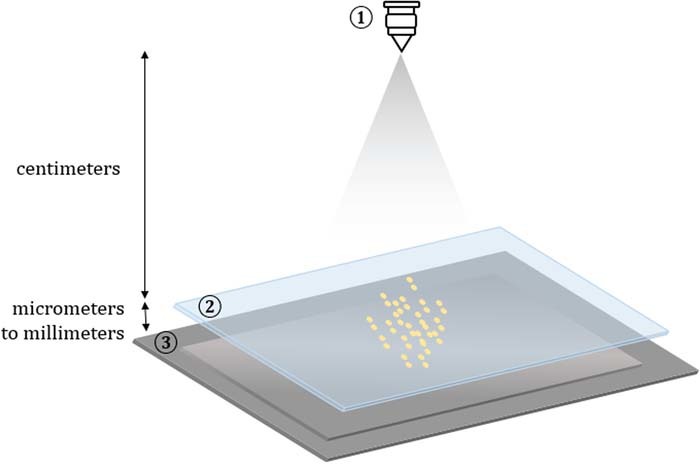 Figure 1. Refer to the following caption and surrounding text.