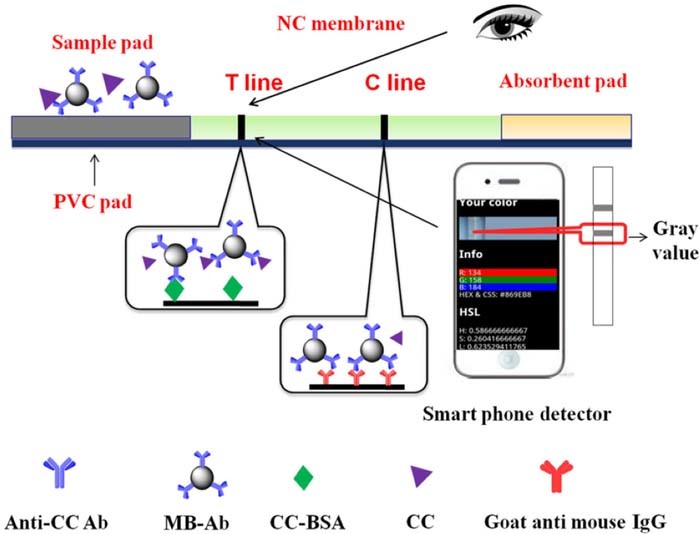 Figure 10. Refer to the following caption and surrounding text.