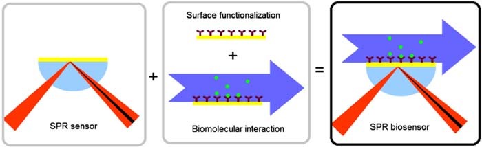 Figure 14. Refer to the following caption and surrounding text.