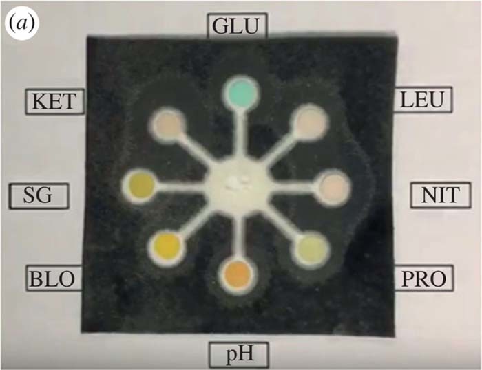 Figure 6. Refer to the following caption and surrounding text.