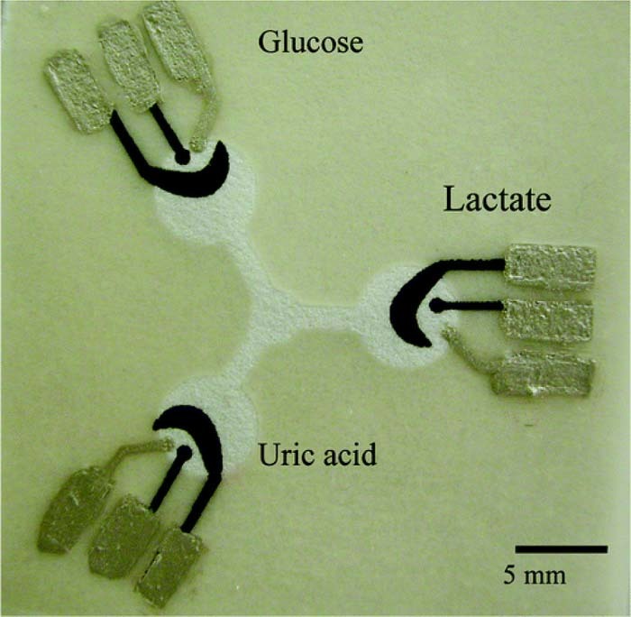 Figure 7. Refer to the following caption and surrounding text.