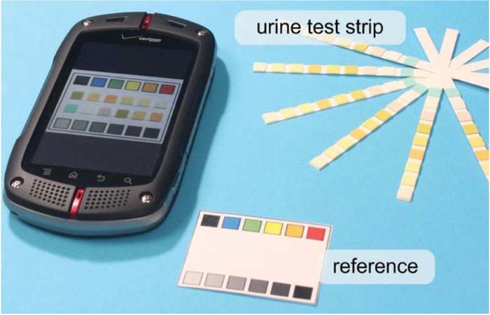 Pee Encoder Review—Point-of-Care Urinalysis with Emerging Sensing and Imaging ...