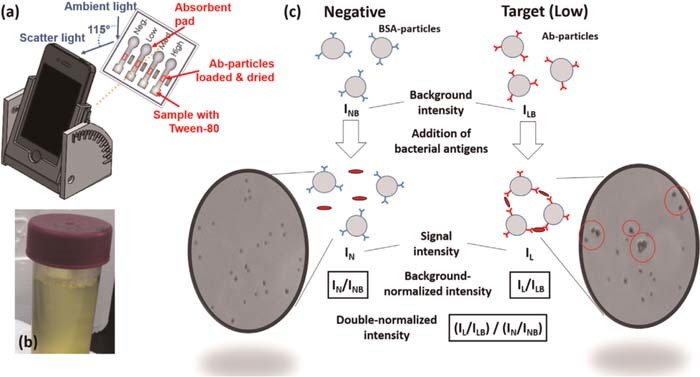 Figure 9. Refer to the following caption and surrounding text.