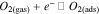 Equation (2)