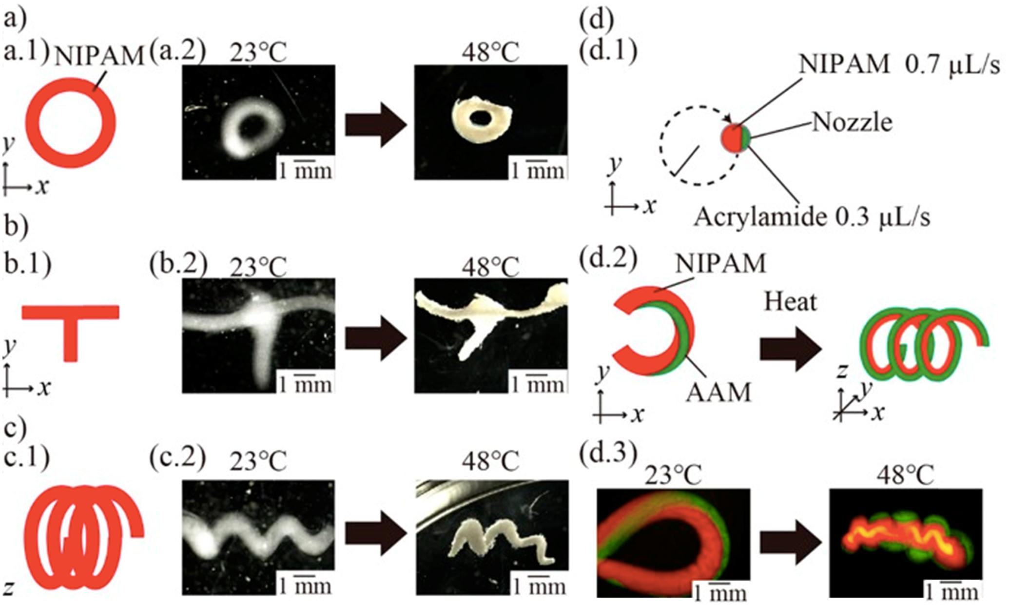 Review—Recent Progresses in 4D Printing of Gel Materials