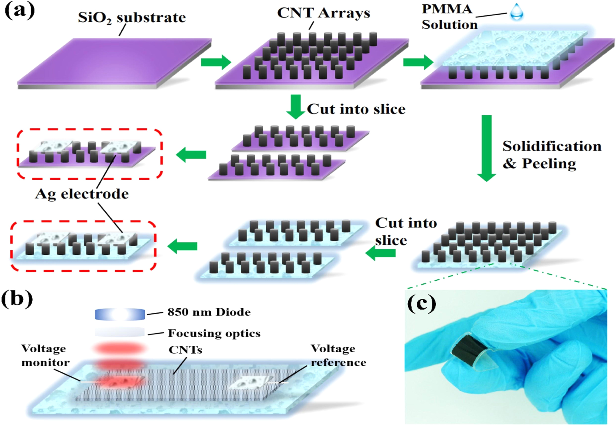 Review—Recent Advances in the Development of Carbon Nanotubes Based ...