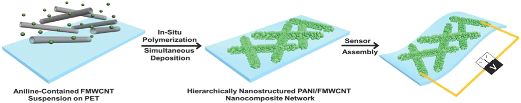 Review—Recent Advances in the Development of Carbon Nanotubes Based ...