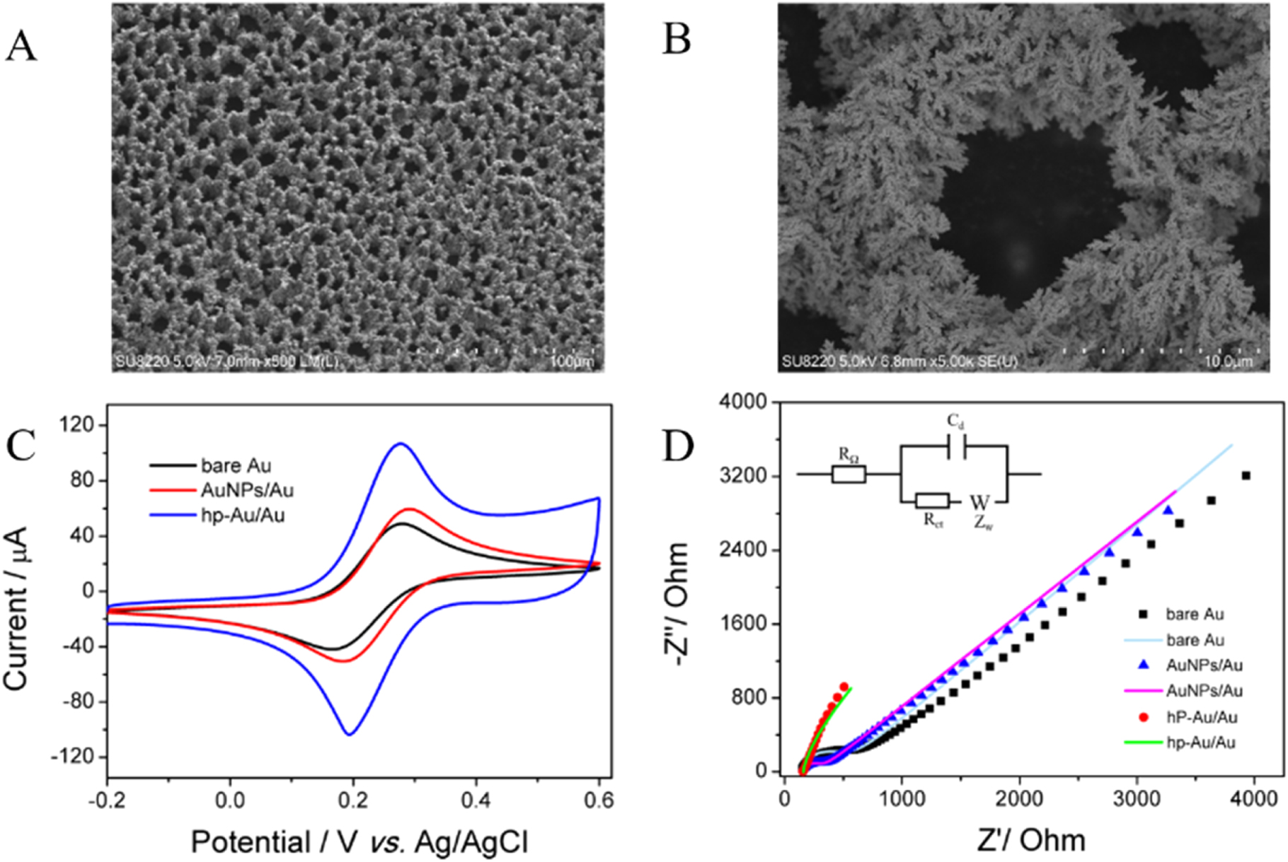 An Excellent Electrochemical Sensor Based on Highly Porous Gold Film ...