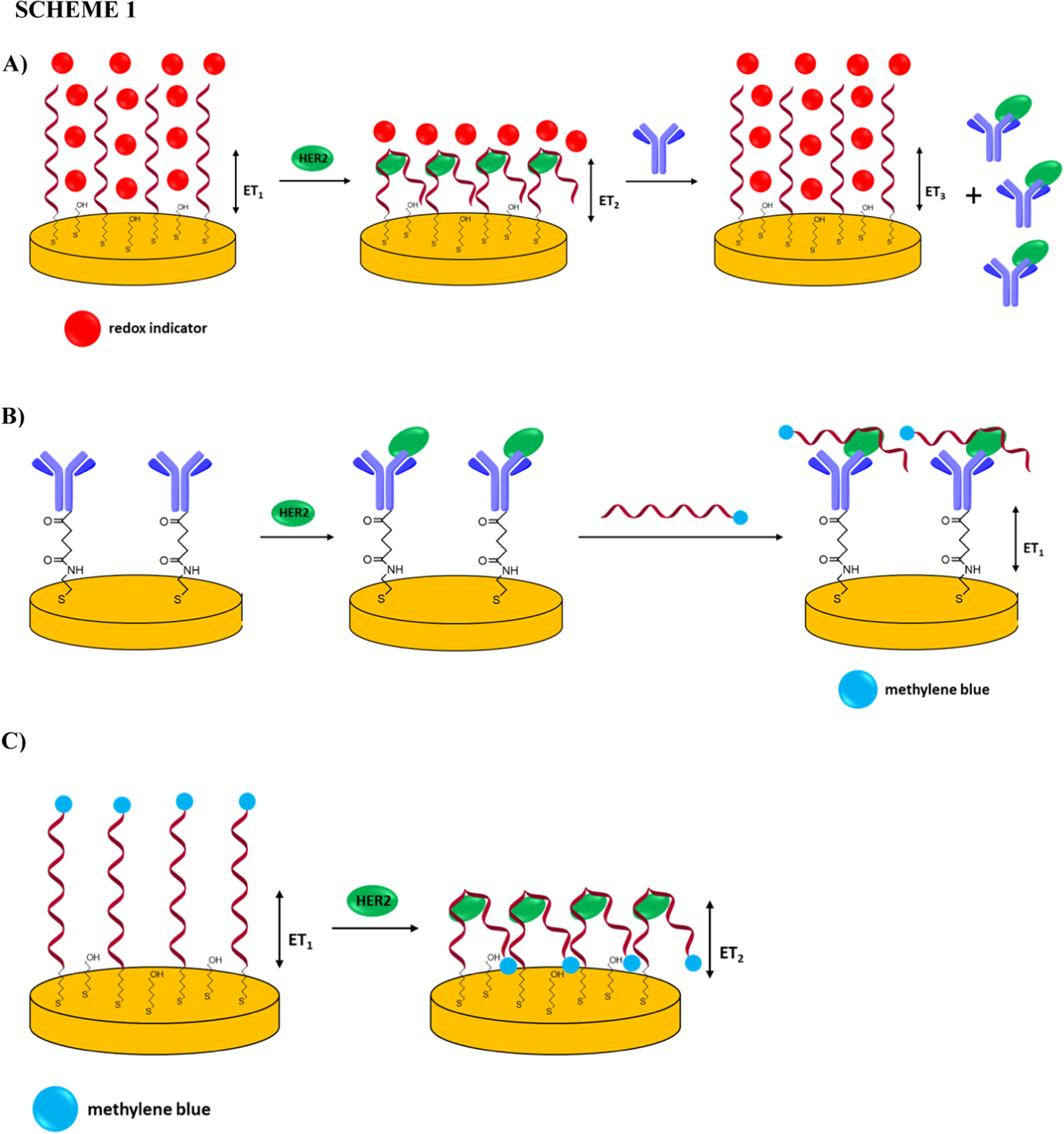 Electrochemical Studies on the Binding of Antibody—Aptamer Hybrid ...
