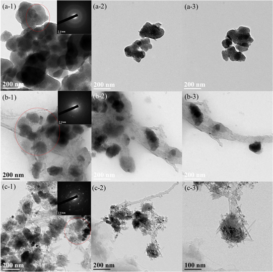 Silver Doped Amorphous MnO2 as Electrocatalysts for Oxygen Reduction ...