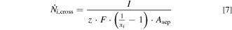 Equation (7)
