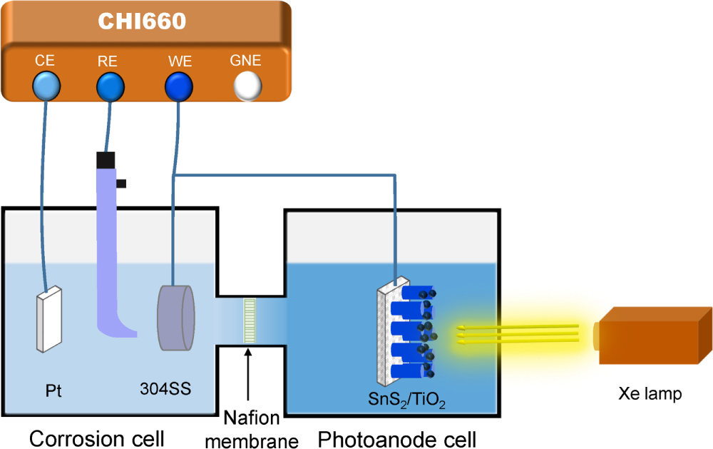 Photoelectrochemical Performance of SnS2 Sensitized TiO2 Nanotube for ...