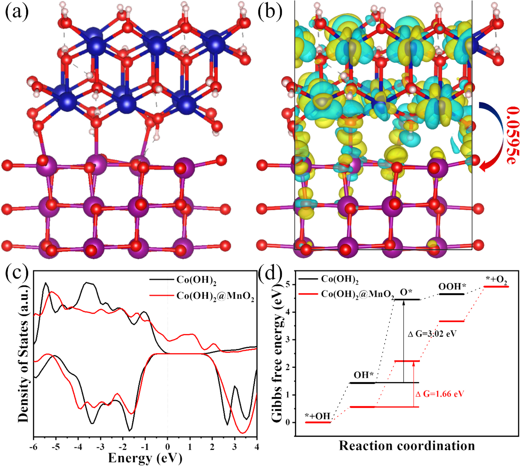 Enhanced Oxygen Evolution Reaction Electrocatalysis on Co(OH