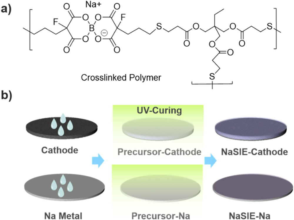 Design of a Single-Ion Conducting Polymer Electrolyte for Sodium-Ion ...