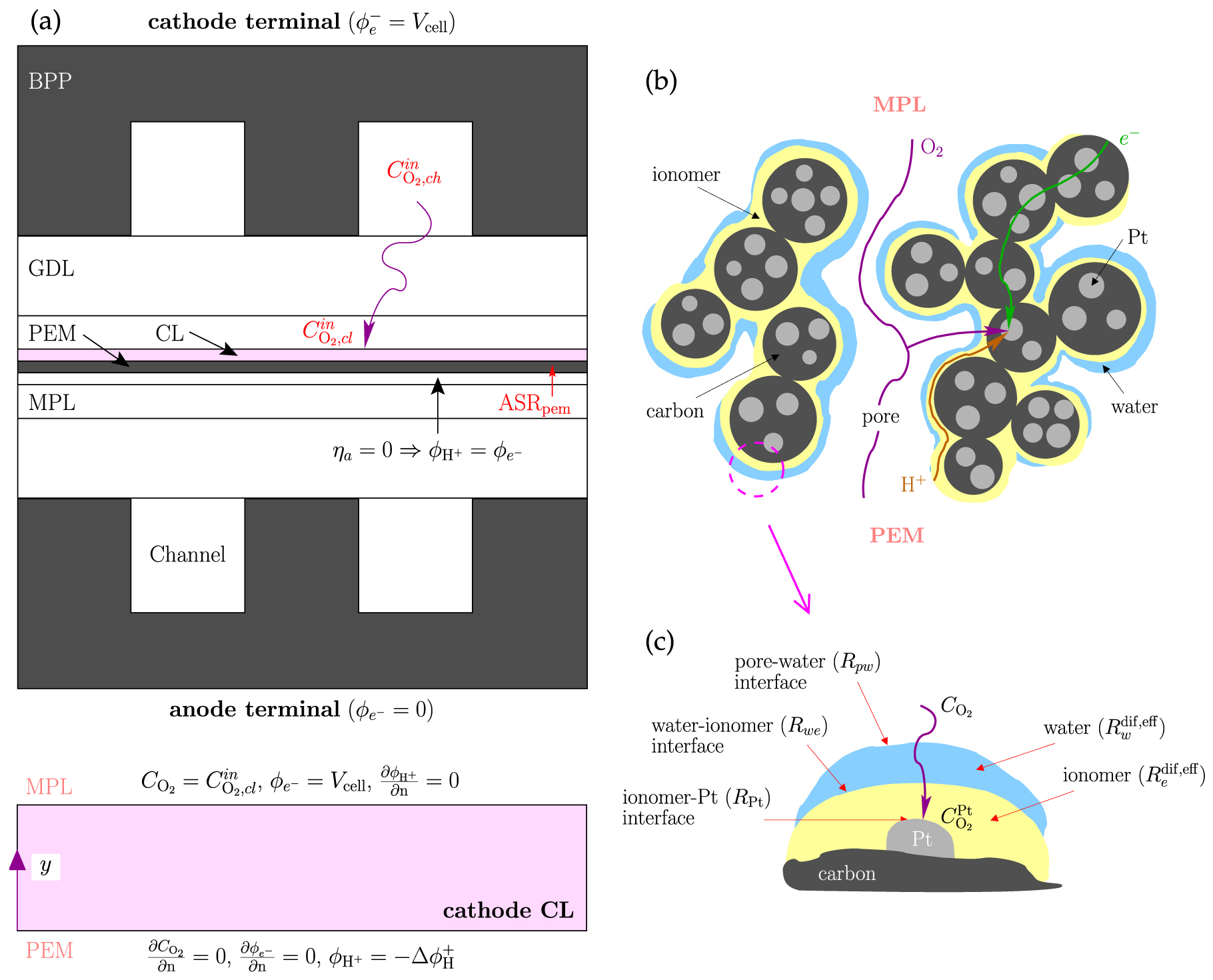 Modeling the Effect of Low Pt loading Cathode Catalyst Layer in Polymer ...