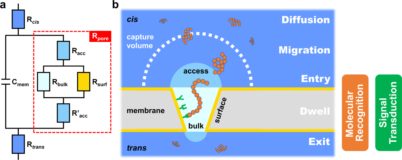Review—Single-Molecule Sensors Based on Protein Nanopores