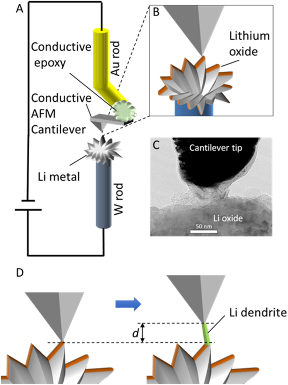 Direct Observation and Quantitative Analysis of Lithium Dendrite Growth ...