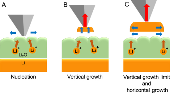 Direct Observation and Quantitative Analysis of Lithium Dendrite Growth ...