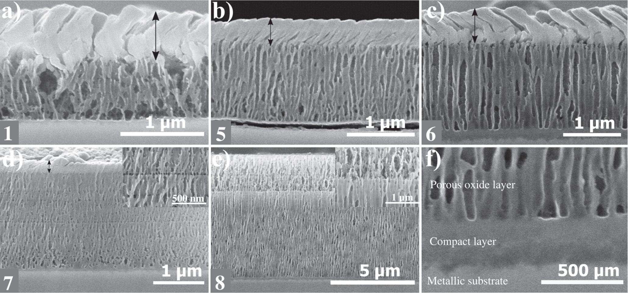 Corrosion Behavior of Anodic Self-Ordered Porous Oxide Layers on ...