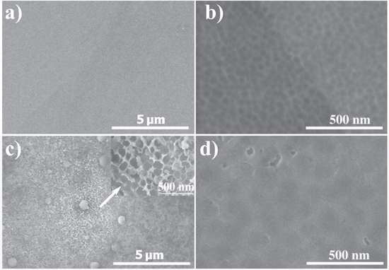 Corrosion Behavior of Anodic Self-Ordered Porous Oxide Layers on ...