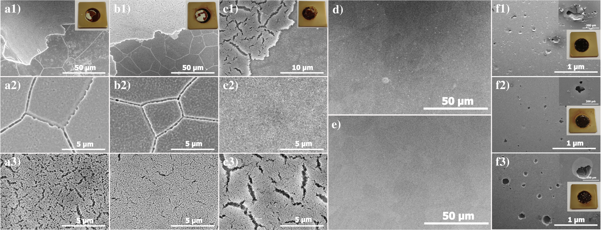 Corrosion Behavior of Anodic Self-Ordered Porous Oxide Layers on ...