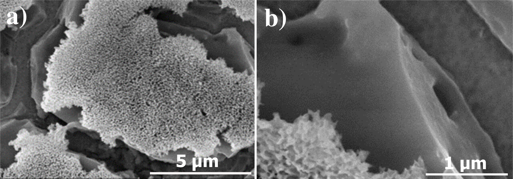 Supplementary data for: Corrosion Behavior of Anodic Self-Ordered ...